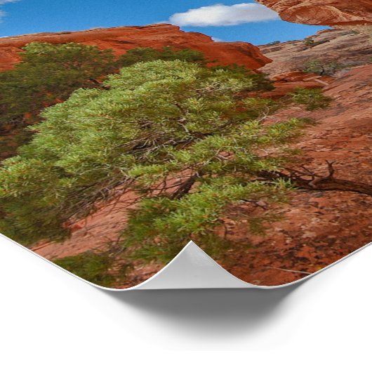 Wall Arch, Arches National Park, Utah Poster (Ecke)