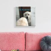 Wall Art Dog in Mirror Leinwanddruck (Insitu (Wohnzimmer))
