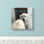 Wall Art Dog in Mirror Leinwanddruck (Insitu (Holzboden))