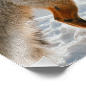 Wall Art Hunting Fox Print Fotodruck (Ecke)