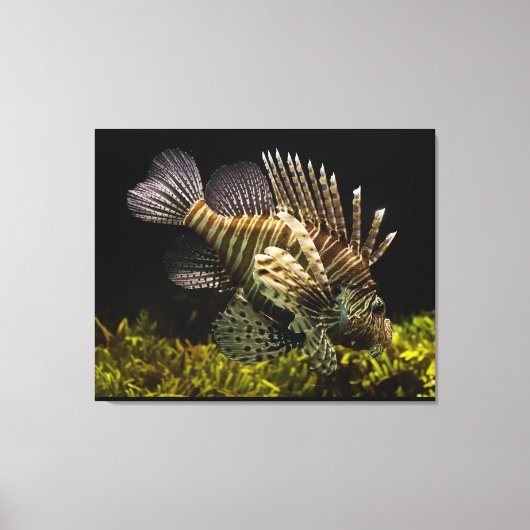 Wall Art Leinwanddruck (Vorderseite)