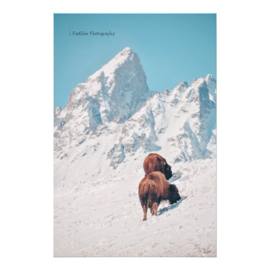 Wall Art Mountain Bison Print Fotodruck (Vorne)
