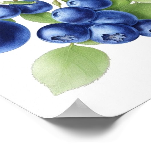 Wall Art Obstposter Poster (Ecke)