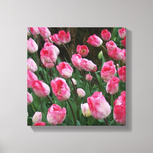 Wall Art Pink Tulips Leinwanddruck (Vorderseite)