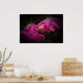 Wall Art Poster (Küche)