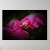 Wall Art Poster (Vorne)