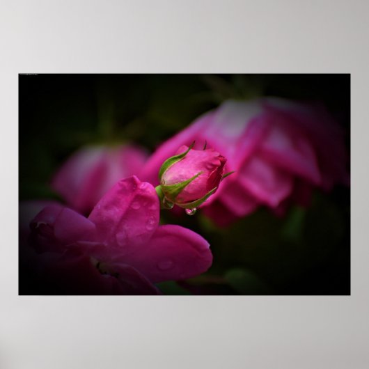 Wall Art Poster (Vorne)