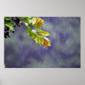 Wall Art Poster (Vorne)