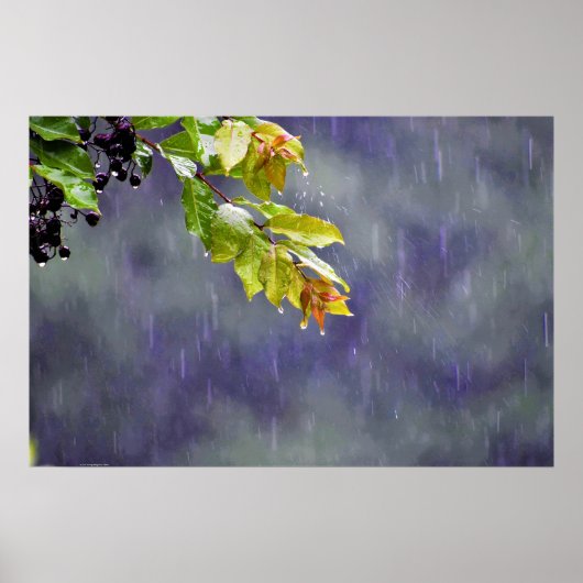 Wall Art Poster (Vorne)