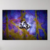 Wall Art Poster (Vorne)