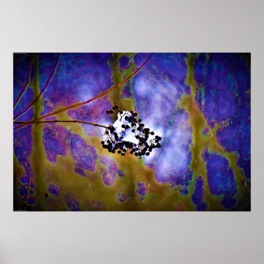 Wall Art Poster (Vorne)