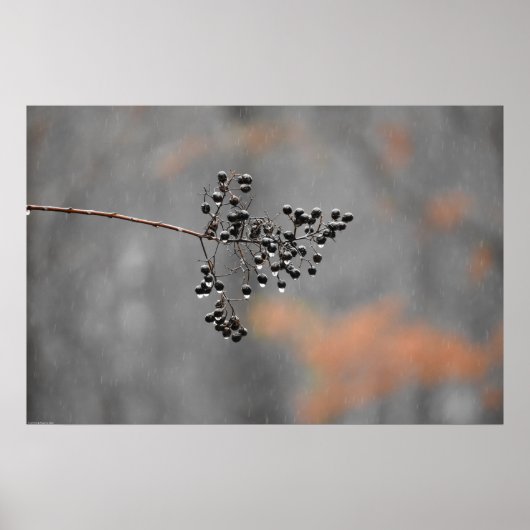 Wall Art Poster (Vorne)