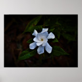 Wall Art Poster (Vorne)