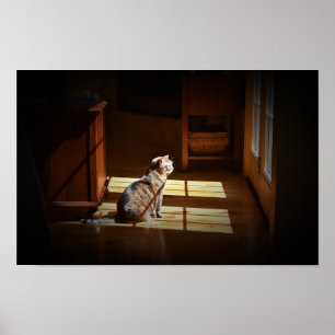 Wall Art Poster
