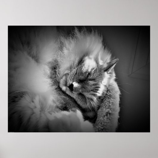 Wall Art Poster (Vorne)