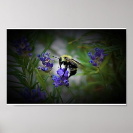 Wall Art Poster (Vorne)