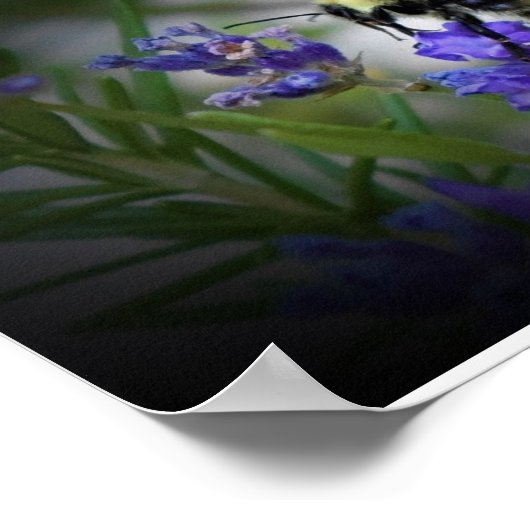 Wall Art Poster (Ecke)