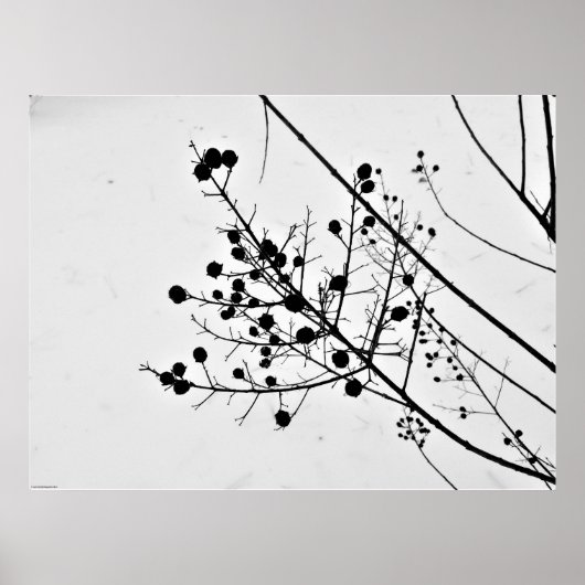 Wall Art Poster (Vorne)