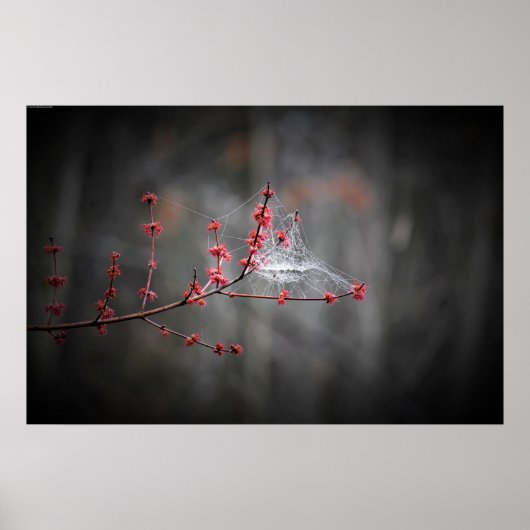 Wall Art Poster (Vorne)