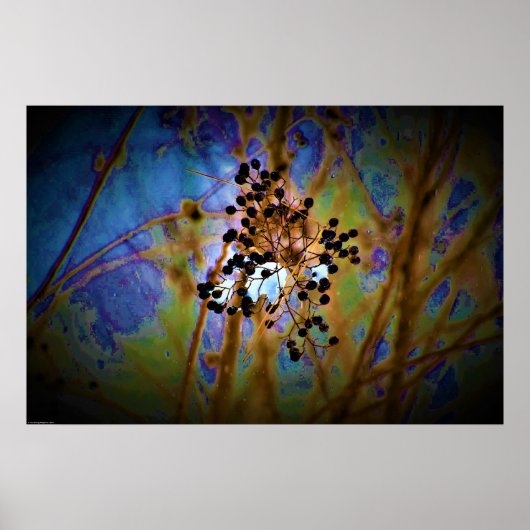 Wall Art Poster (Vorne)