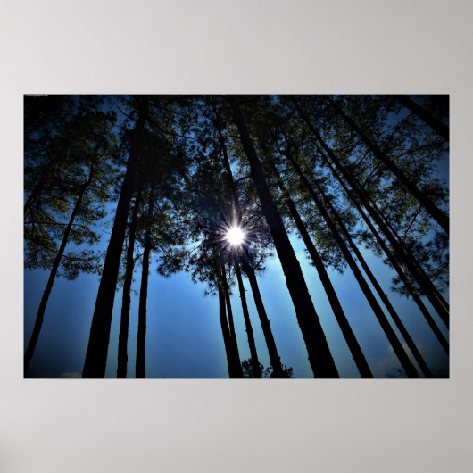 Wall Art Poster (Vorne)