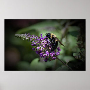 Wall Art Poster