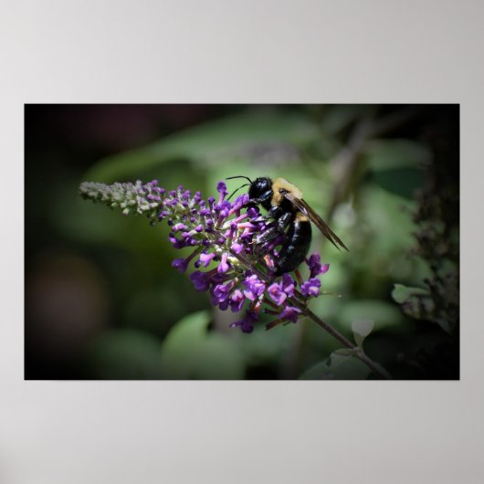 Wall Art Poster (Vorne)