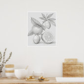 Wall Art Zitrusbaumposter Poster (Küche)
