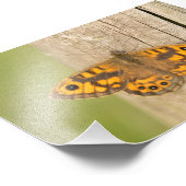 Wall Brown Butterfly Fotodruck (Ecke)
