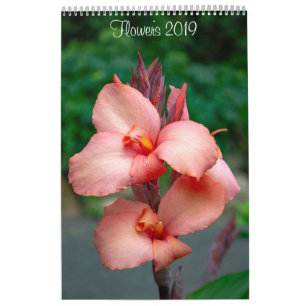 Wall Calendar 2019 Blume von Lisa Blake Kalender