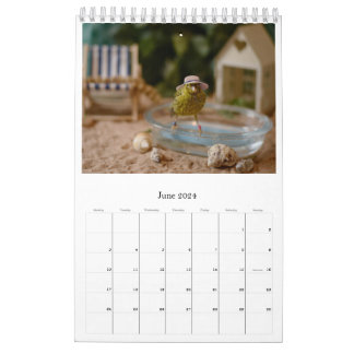 Wall Calendar Niedliche Vögel Haustiere Kanarische Kalender