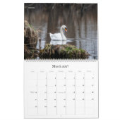 Wall Calendar - Schönheit durch HAMbyWG Kalender (Mär 2027)