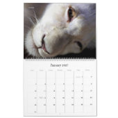 Wall Calendar - Schönheit durch HAMbyWG Kalender (Jan 2027)