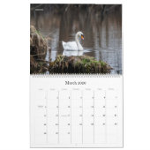 Wall Calendar - Schönheit durch HAMbyWG Kalender (Mär 2026)