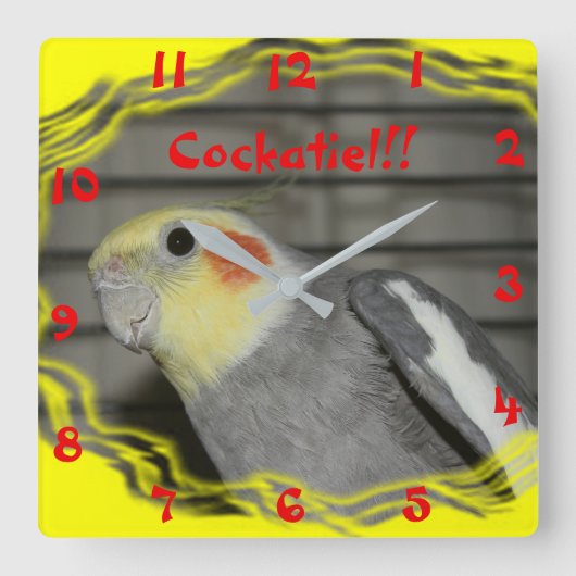 Wall-Clock-Cockatiel Quadratische Wanduhr (Vorderseite)
