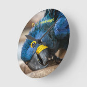 Wall clock featuring cute Hyacinth Macaw parrot Runde Wanduhr (Winkel)