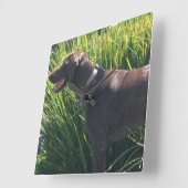 Wall Clock with German Shorthair Pointer Quadratische Wanduhr (Winkel)