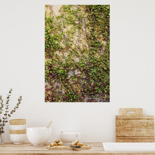 Wall Coverage - Irland Poster (Küche)