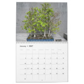 Wall-Kalender mit Bonsai Kalender (Jan 2027)