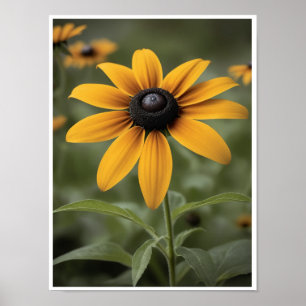 Wall Poster Schönes Schwarz Mit Augen Susan Blume