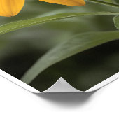 Wall Poster Schönes Schwarz Mit Augen Susan Blume (Ecke)