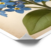 Wall Poster Schönes Vergessen-Me-Not-Blume-Poster (Ecke)