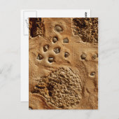 Wall-Postkarte Postkarte (Vorne/Hinten)