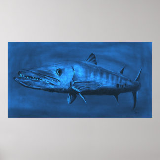 WALL SIZZIERT - Riesiges blaues Barracuda Poster