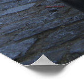 Wall Street Bull Poster (Ecke)