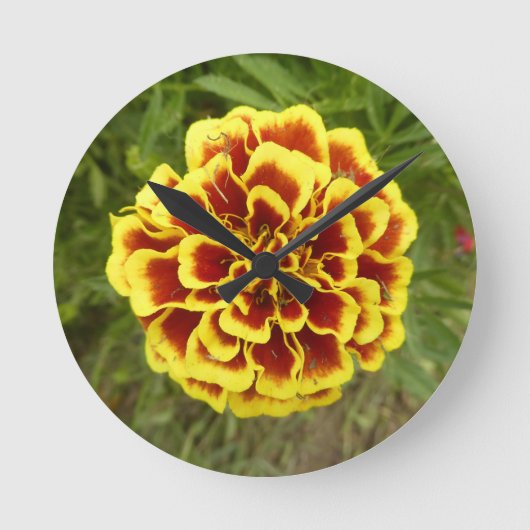Wall-Uhr mit Bild von Marigold Runde Wanduhr (Vorderseite)
