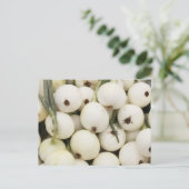 Walla Walla Sweet Onions Postkarte (Stehend Vorderseite)