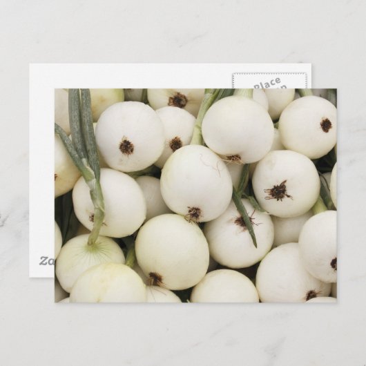 Walla Walla Sweet Onions Postkarte (Vorne/Hinten)