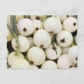 Walla Walla Sweet Onions Postkarte (Vorderseite)