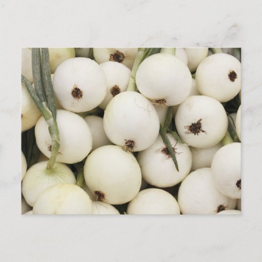 Walla Walla Sweet Onions Postkarte (Vorderseite)